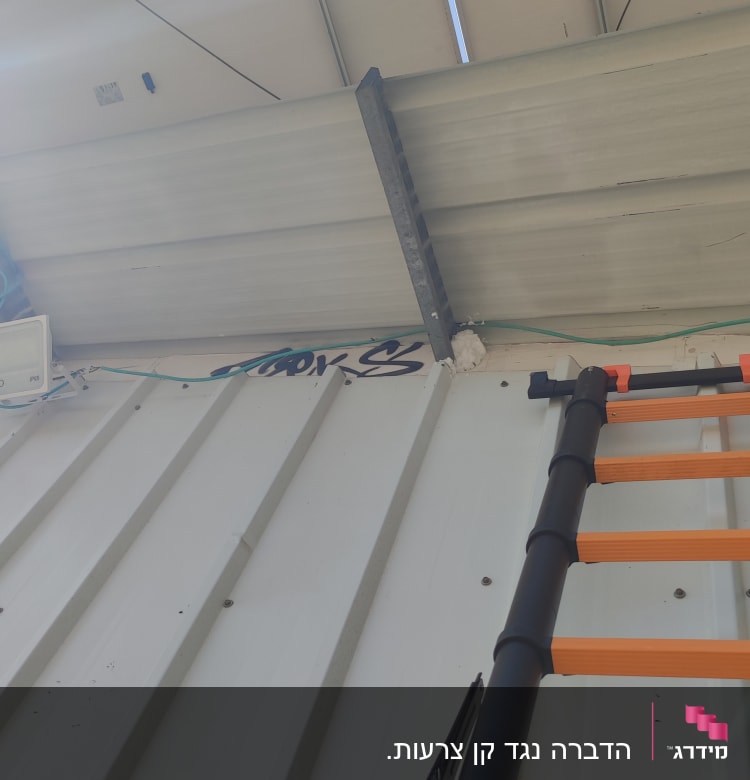 הדברה נגד קן צרעות.